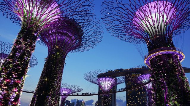 Singapurs Gardens by the Bay