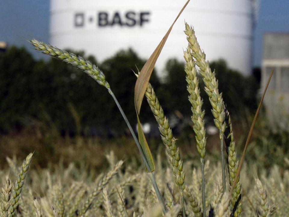 Gewinnwarnung bei BASF: Von Wachstum ist der Chemie-Riese momentan weit entfernt.