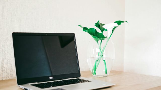 Ein Dell Laptop, der neben einer Vase mit Pflanzen steht