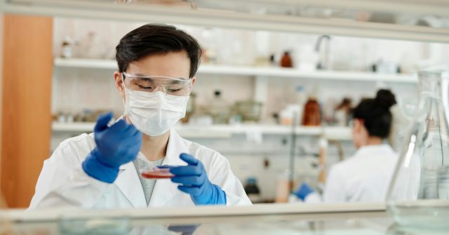 Ein Laborarbeiter, welcher eine rote Flüssigkeit mit einer Pipette aus einer Glasschale holt