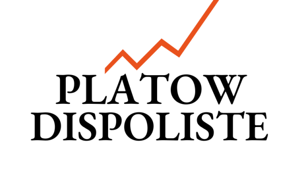 PLATOW Dispoliste