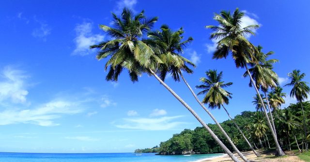 Urlaub am Strand