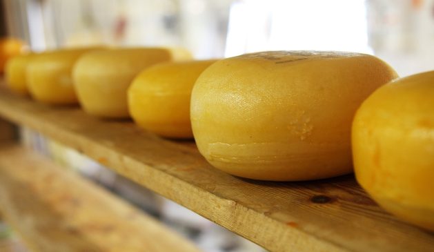 Käse- und Milchersatzprodukte liegen im Trend
