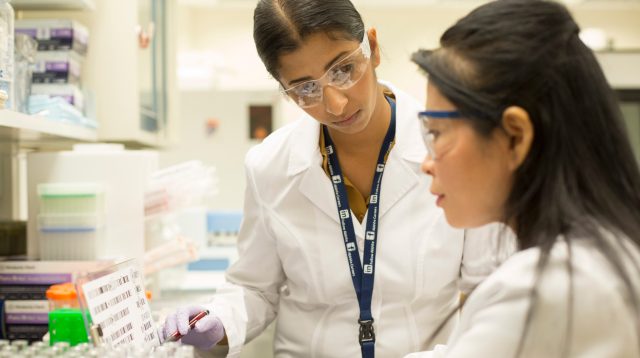 Wissenschaftler von Abbvie bei der Arbeit.