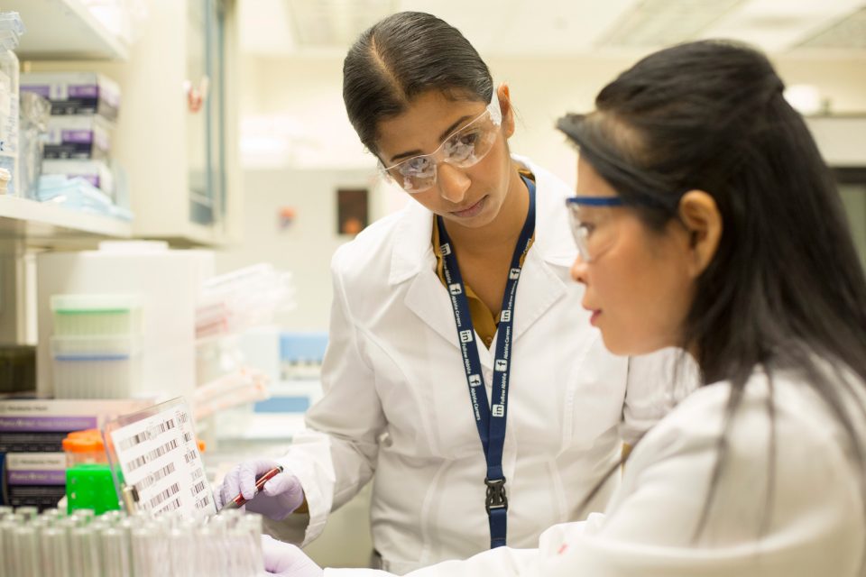 Wissenschaftler von Abbvie bei der Arbeit.